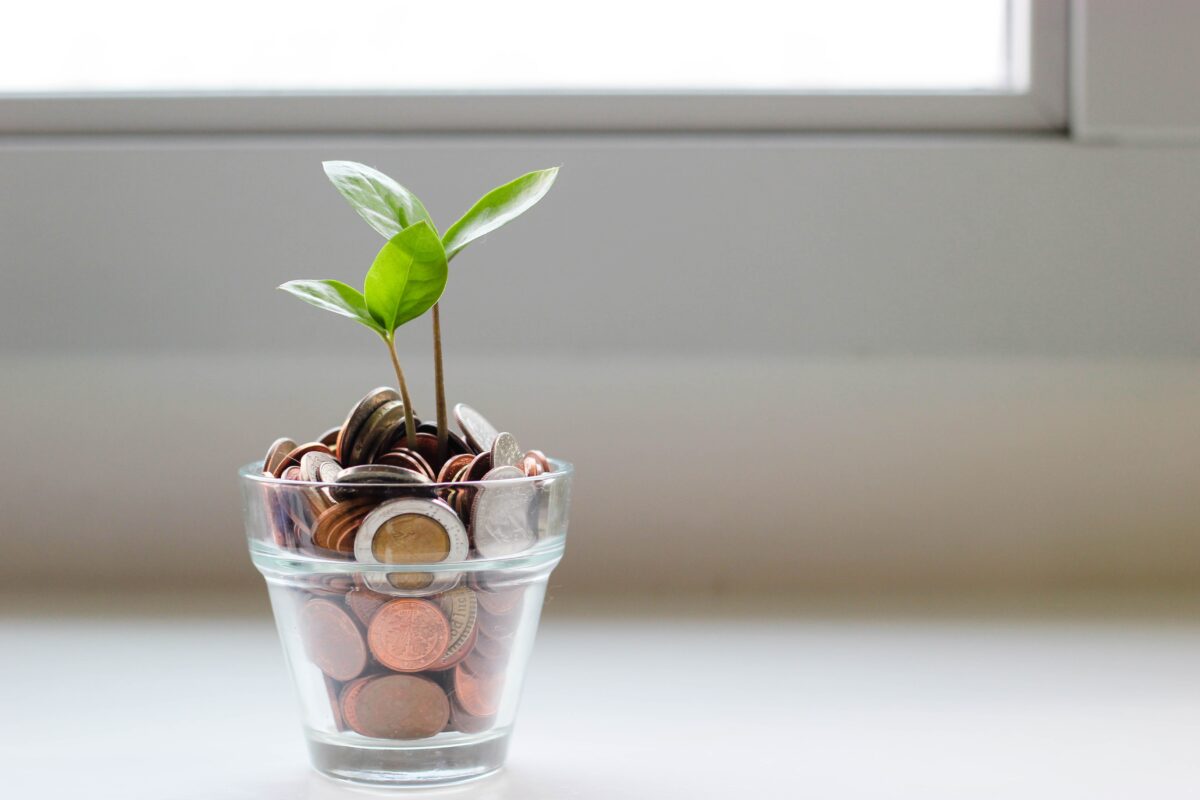 Wellness on a Budget