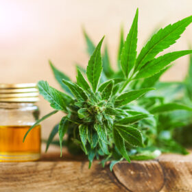 Future of Cannabidiol