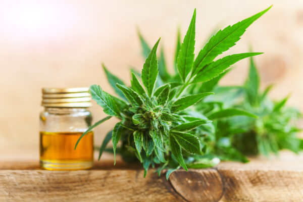 Future of Cannabidiol