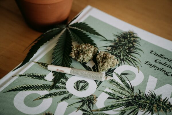 CBD Legality
